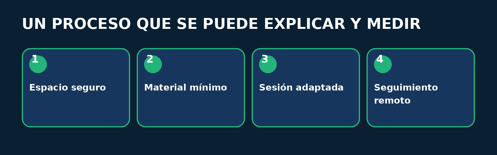 Infografía FitConnect Pro Proceso en cuatro pasos: Espacio seguro, Material mínimo, Sesión adaptada, Seguimiento remoto