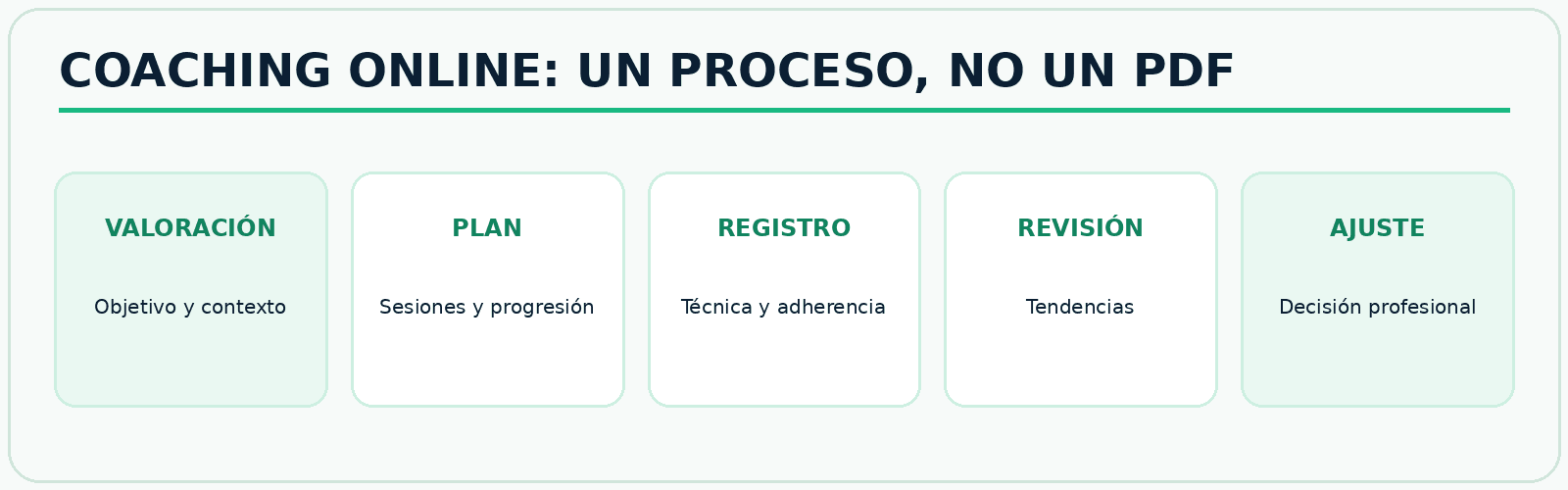 Infografía FitConnect Pro Proceso de entrenamiento personal online desde la valoración inicial hasta el ajuste profesional